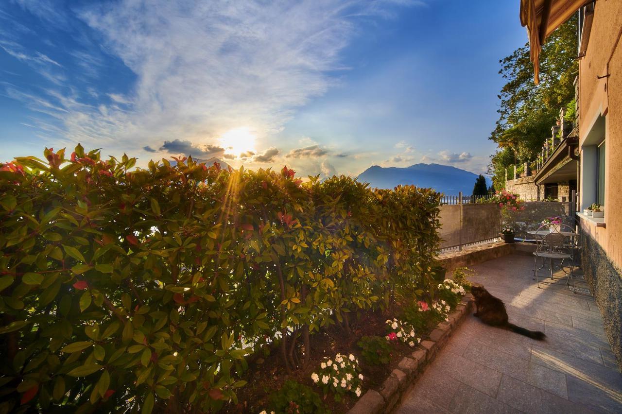 El Lavandee Varenna Exteriér fotografie